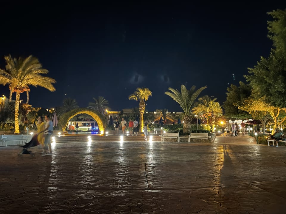 Außenansicht Desert Rose