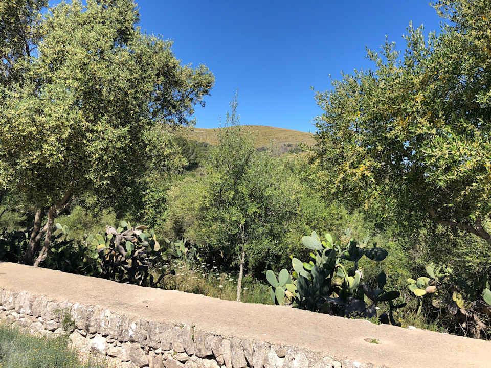 Ausblick Villa 3 - Carrossa Hotel Spa Villas