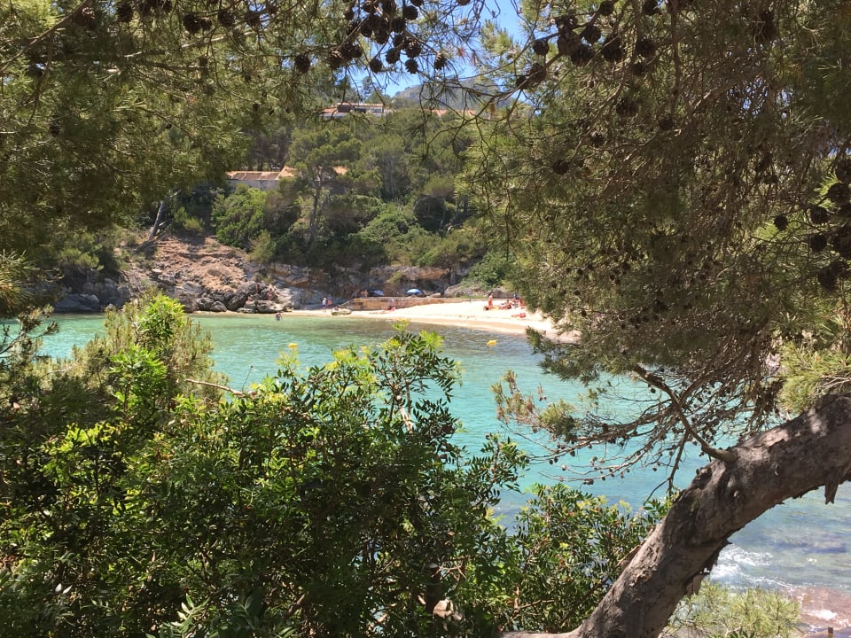 Strand Iberostar Waves Pinos Park