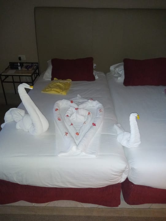 Zimmer Jaz Makadi Oasis Resort