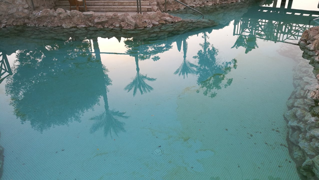 Pool Ghazala Gardens