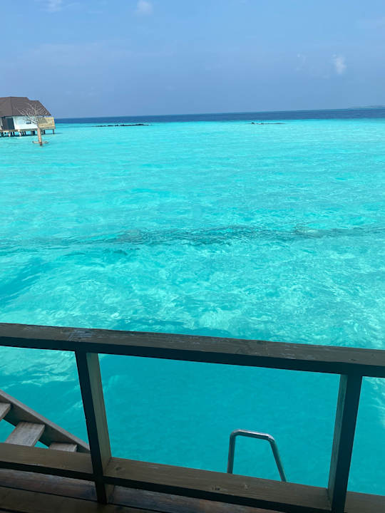 Zimmer Fushifaru Maldives