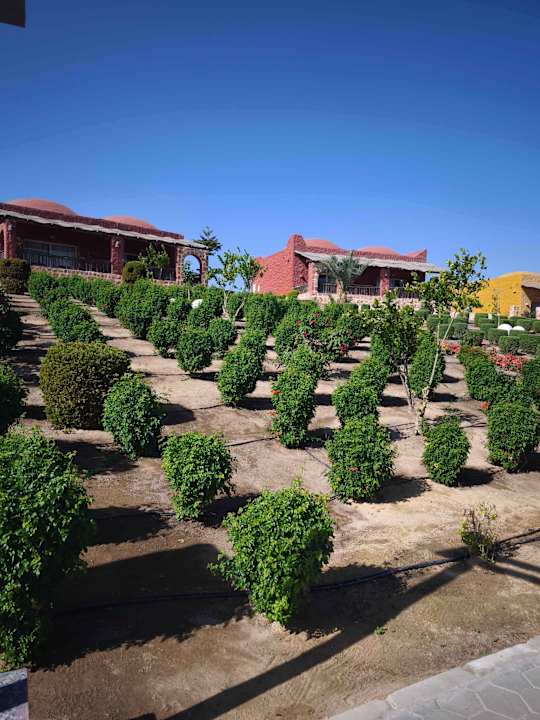 Gartenanlage Pickalbatros Villaggio Resort - Portofino