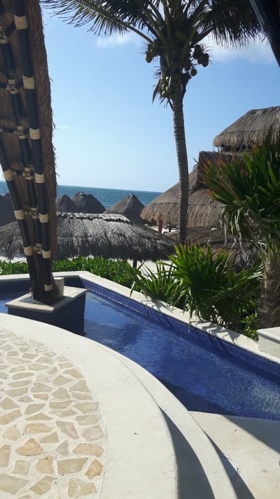 Gartenanlage Dreams Riviera Cancun Resort & Spa