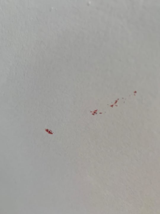 Zimmer Quality Hotel Delfino Venezia Mestre