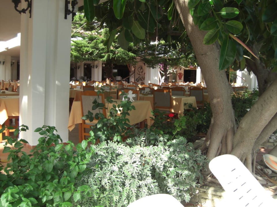Restaurant im Außenbereich Hotel Defne Ana
