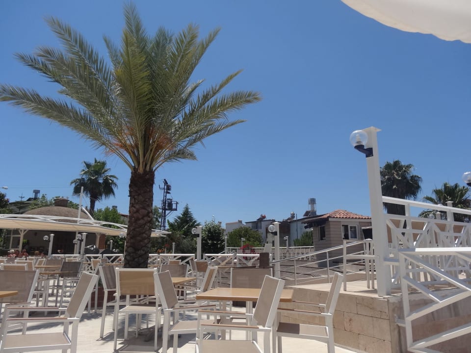 Poolbarsizgelegenheit Seaden Corolla Hotel