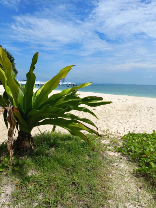 Gartenanlage Cape Panwa Hotel