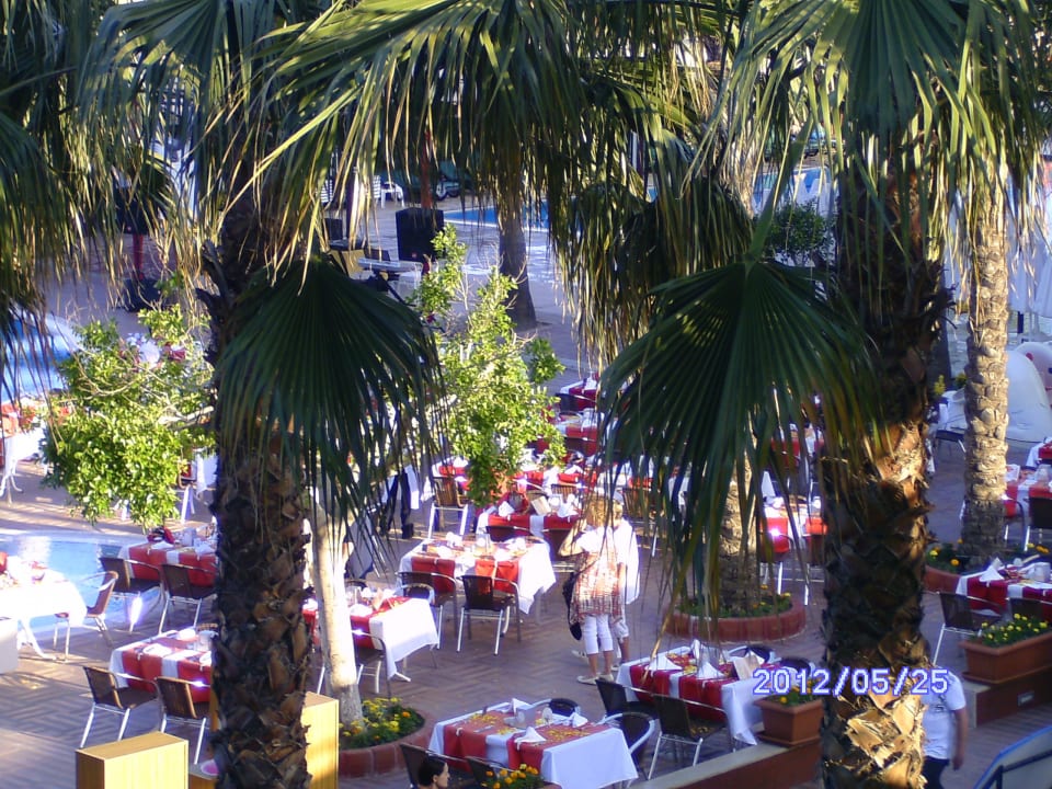 Für deb türkischen Abend fein hergerichtet Hane Family Resort