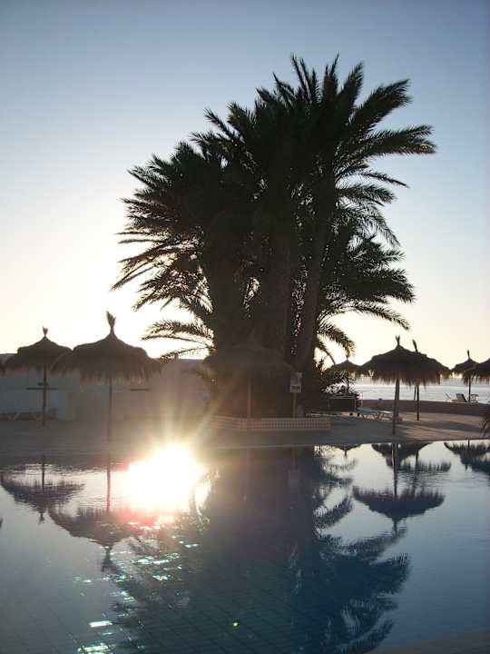 Süßwasserpool Hotel El Mouradi Djerba Menzel