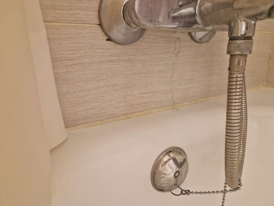 Zimmer blau punta reina