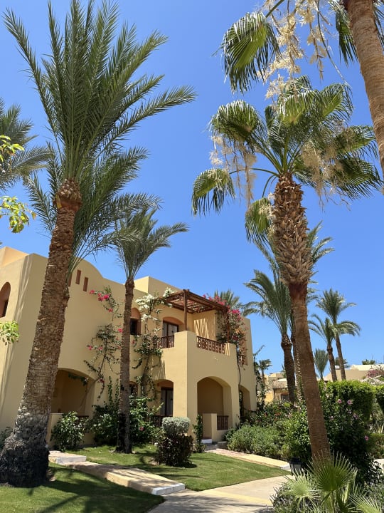 Gartenanlage Steigenberger Coraya Beach - Adults only