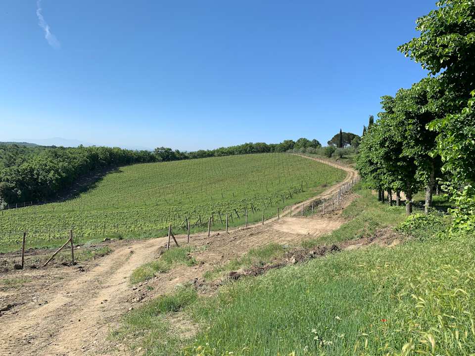 Garten Hotel Fattoria Casafrassi Albergo