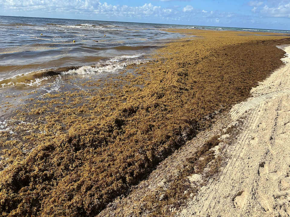 Strand Viva Azteca by Wyndham - All Inclusive Resort