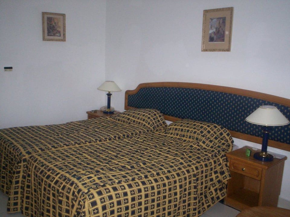 Blick vom Fenseher Desert Rose