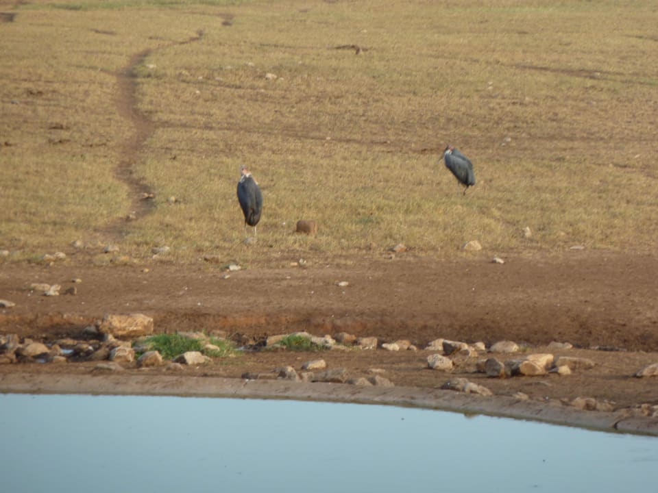 Sonstiges Taita Hills Safari Resort & Spa