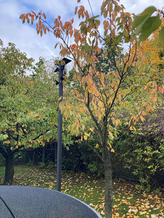 Ausblick Best Western Hotel Windorf