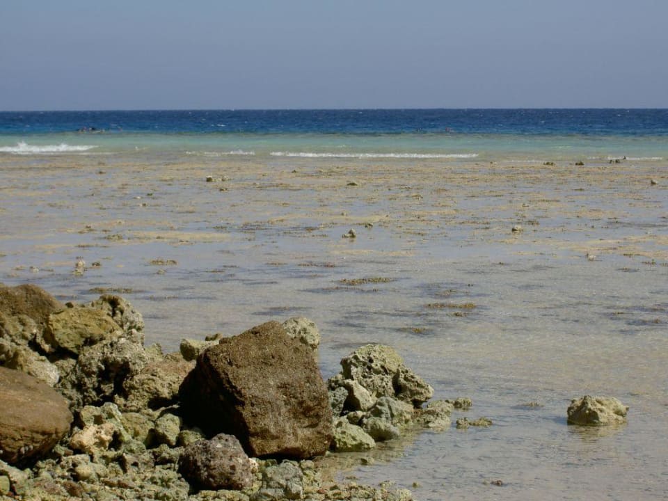 Blick zum Riff bei Ebbe Makadi Palace