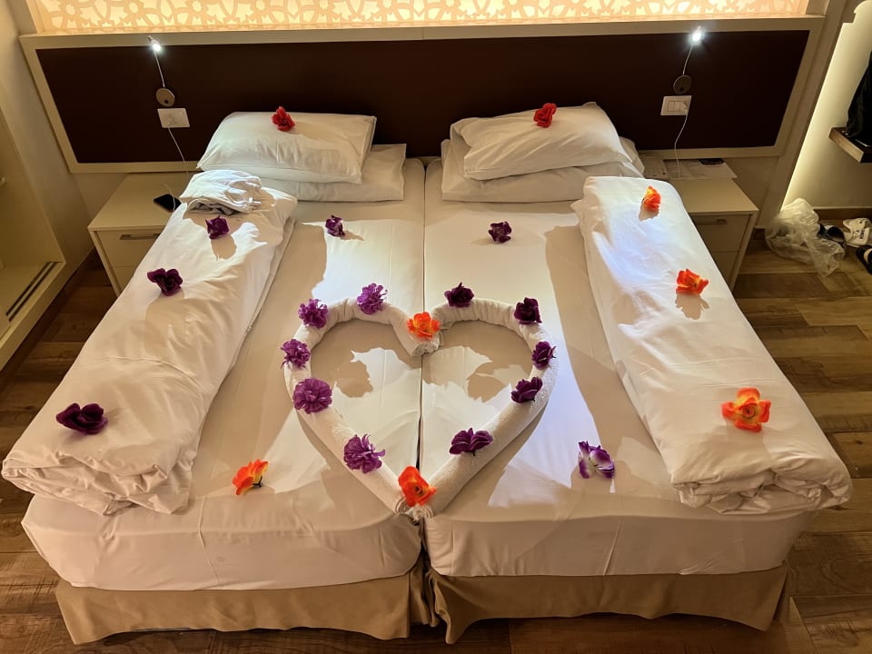 Zimmer ROBINSON SOMA BAY