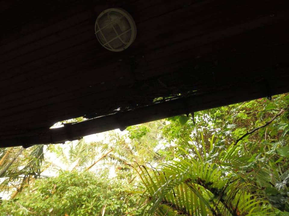 Dachrinne kaputt Hotel Sri Lanka Ayurveda Garden & Shakti Villa