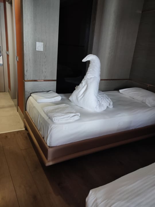 Zimmer Arycanda Kirman Premium