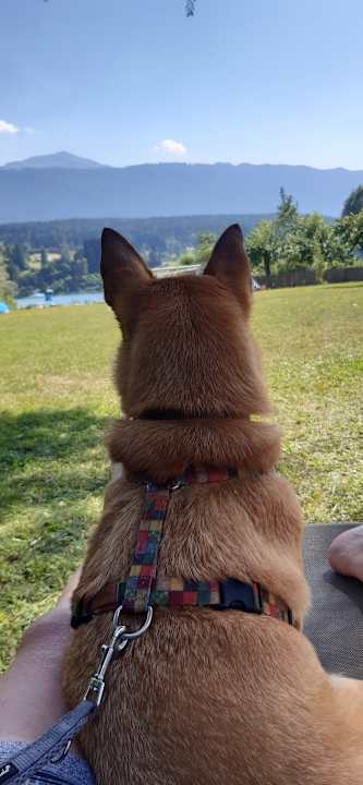 Ausblick Hotel Kärntnerhof