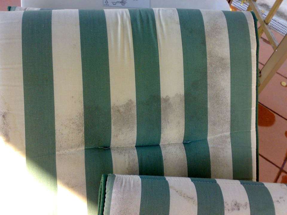 Poolauflage die Zweite Hotel Monaco Tiziana