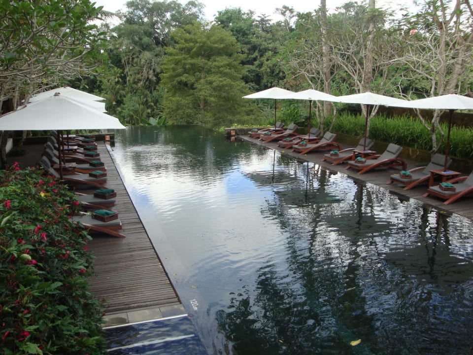 Pool Maya Ubud Resort & Spa Bali