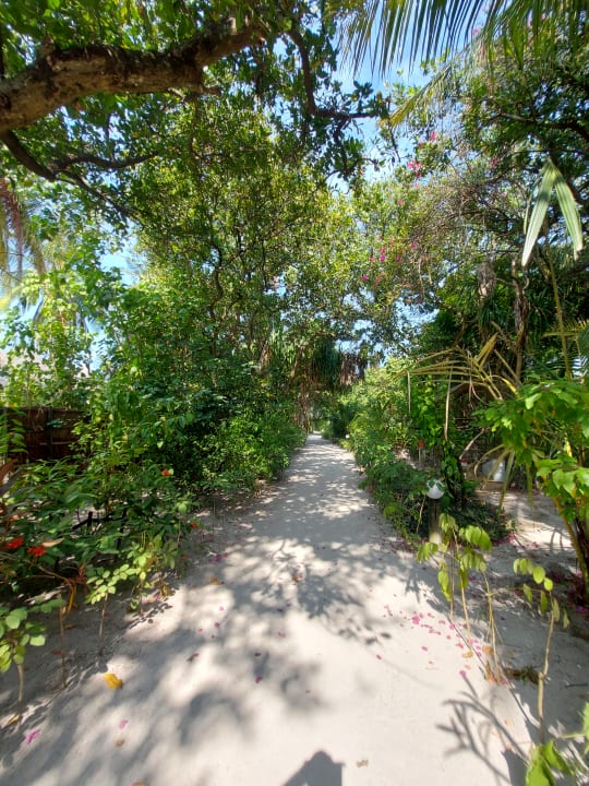 Gartenanlage Angaga Island Resort