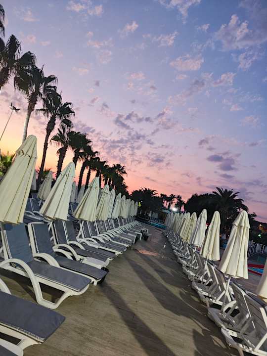 Pool Hotel Botanik Platinum