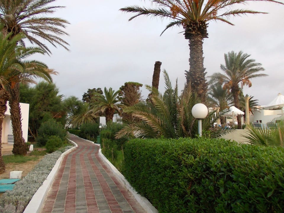 Weg zum Strand Royal Lido Resort & Spa