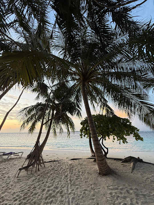 Strand Vilamendhoo Island Resort & Spa