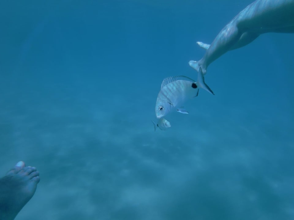 Strand The Sense Deluxe Hotel