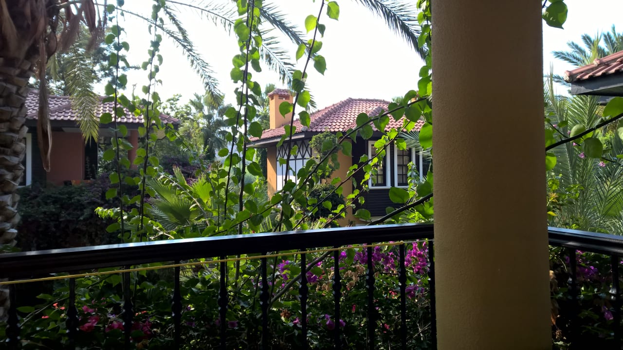 Zimmer Dizalya Palm Garden