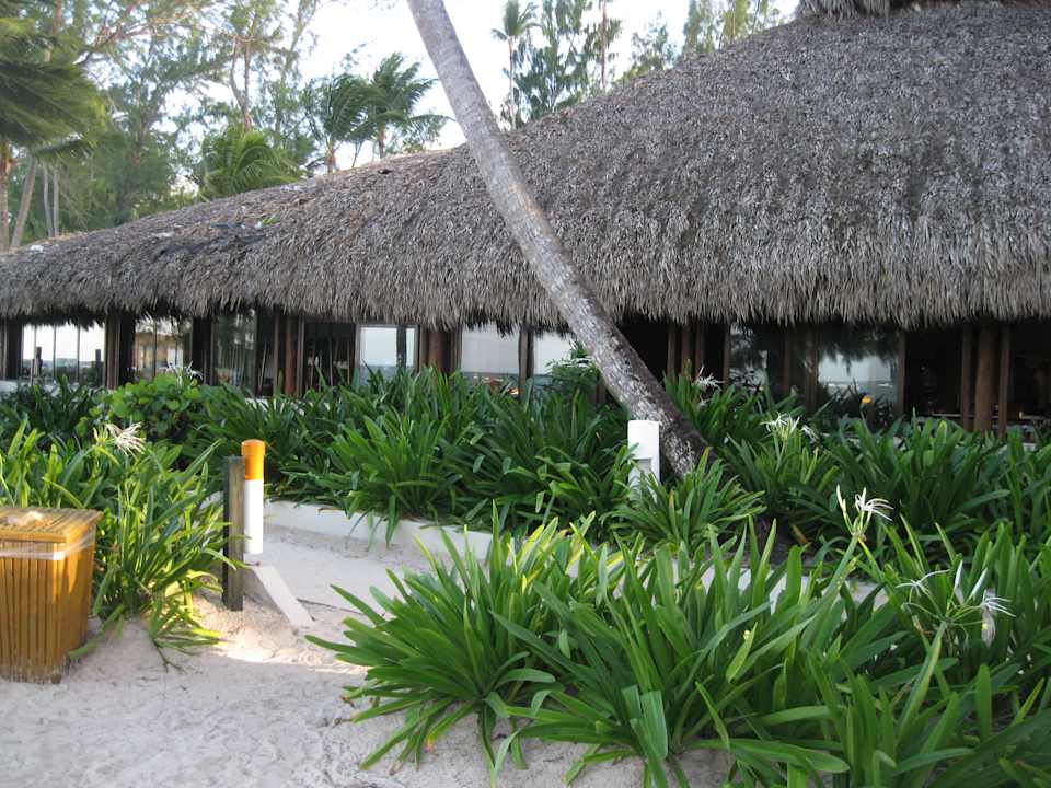 Gartenanlage Vista Sol Punta Cana