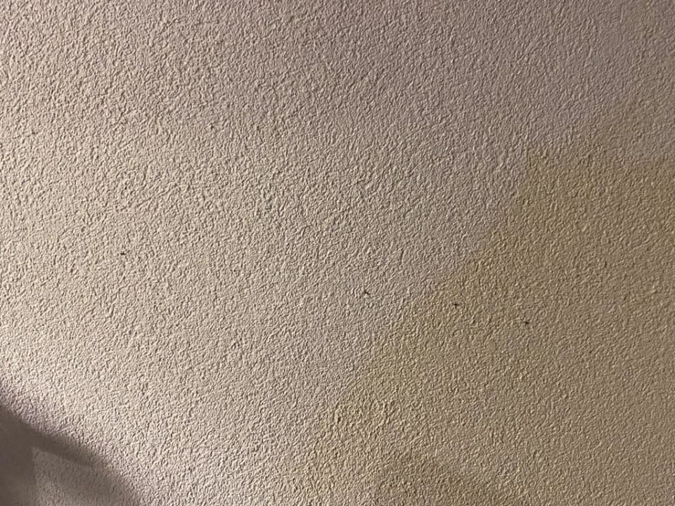 Zimmer Center Parcs Park Nordseeküste