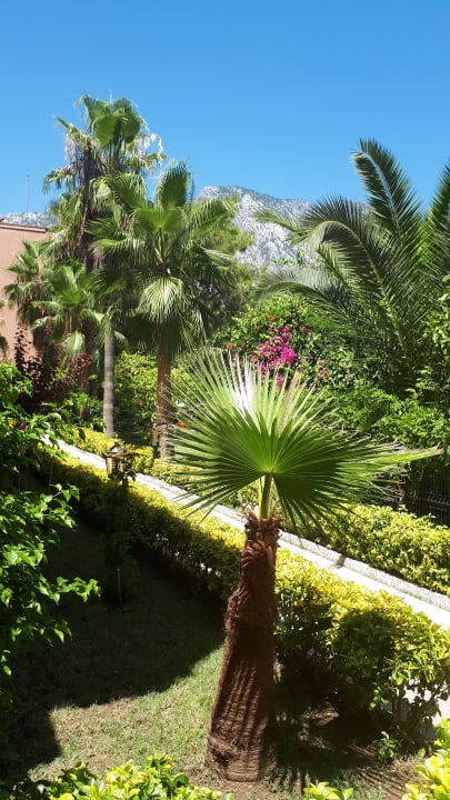 Gartenanlage Aleria Belport Beach Hotel