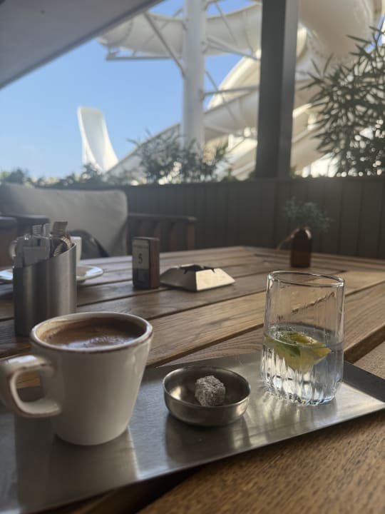 Gastro Rubi Platinum Sign