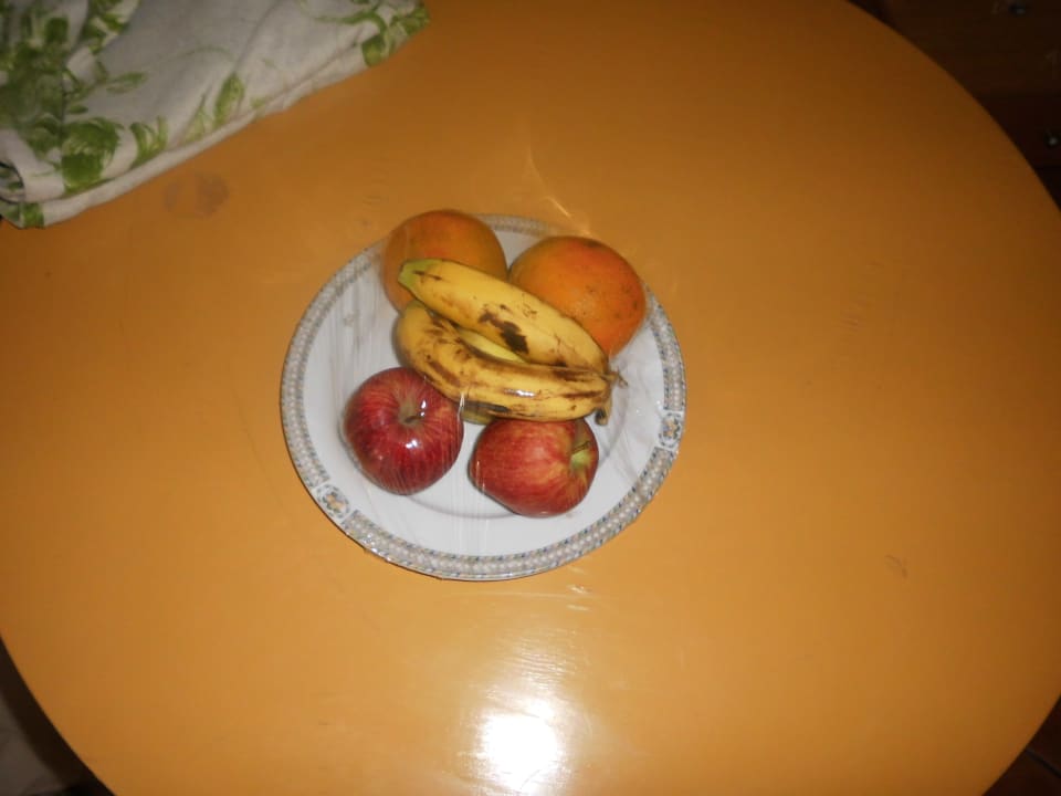 Zimmer Ghazala Gardens