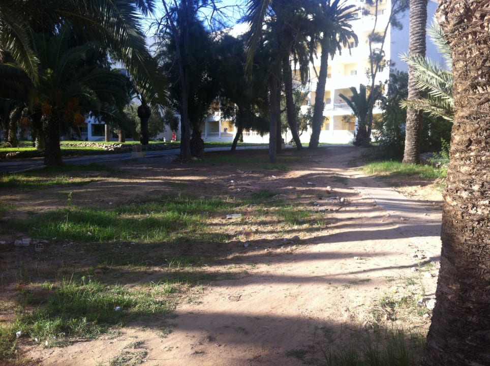 Ungepflegte Gartenanlage! Hotel Marhaba Club