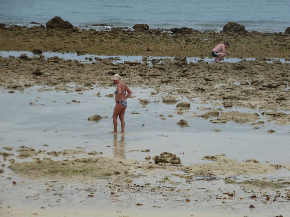 Cape Panwa Hotel in Phuket Thailand Cape Panwa Hotel