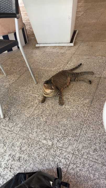 Pool Viva Azteca by Wyndham - All Inclusive Resort