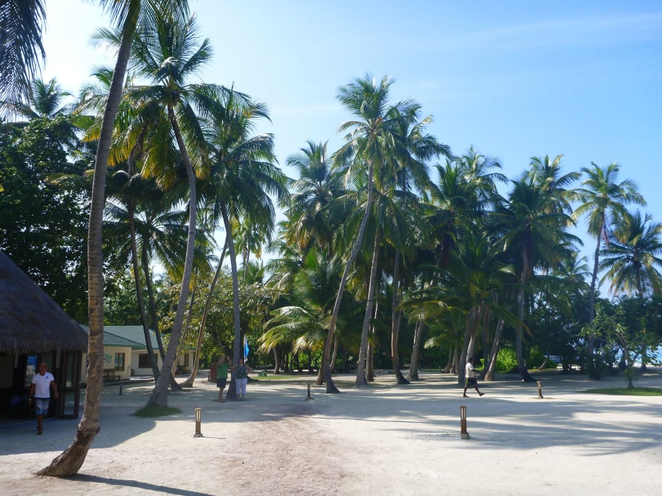 Hotel Meeru Island Resort Meeru Maldives Resort Island