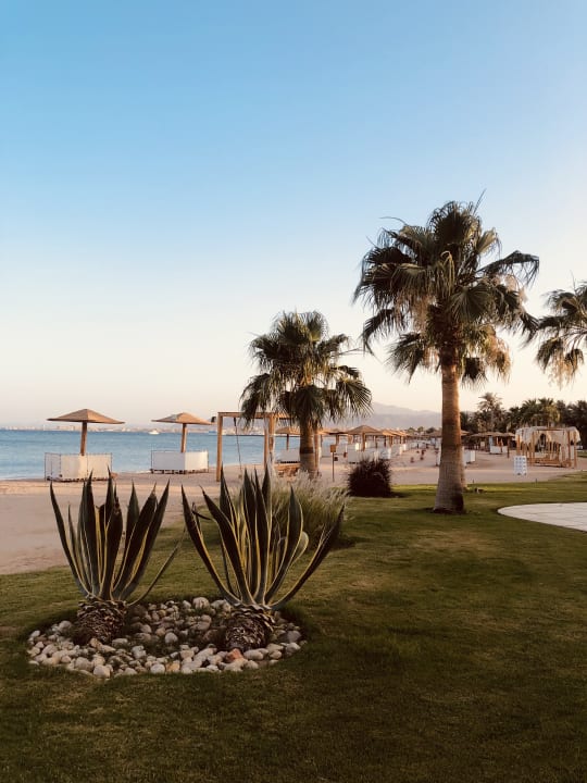 Strand Shams Prestige Abu Soma-Adults Only