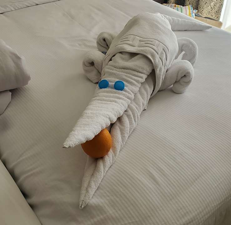 Zimmer Beach Albatros Resort