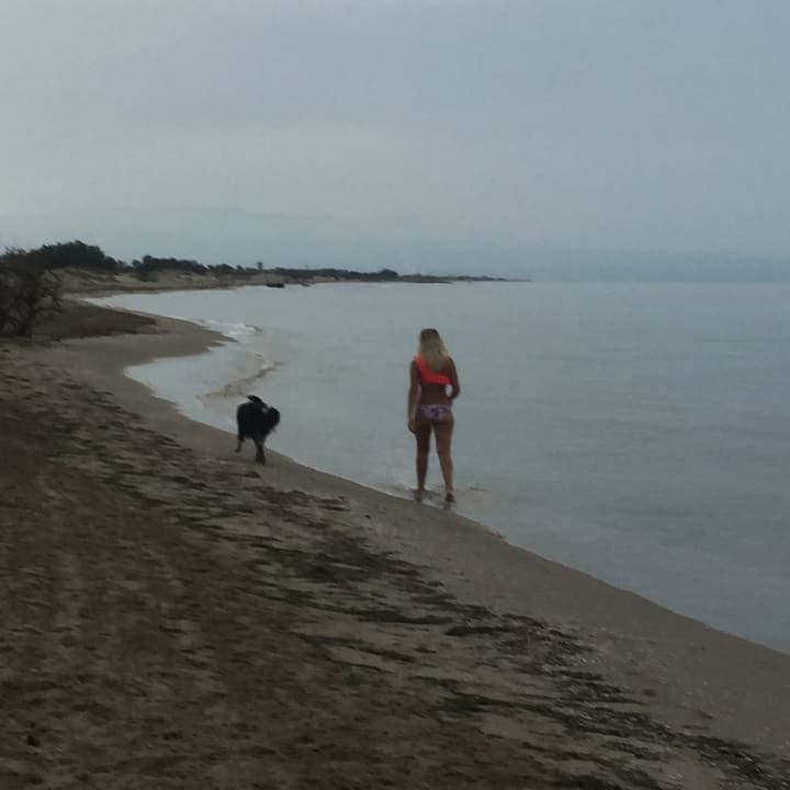 Abends am Hundestrand Ferienhäuser Delta Chalets Riumar