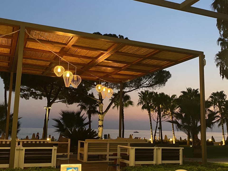 Gastro Acanthus Cennet Barut Collection