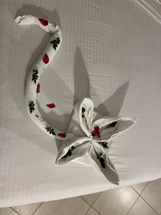 Zimmer Lazuli Hotel Marsa Alam