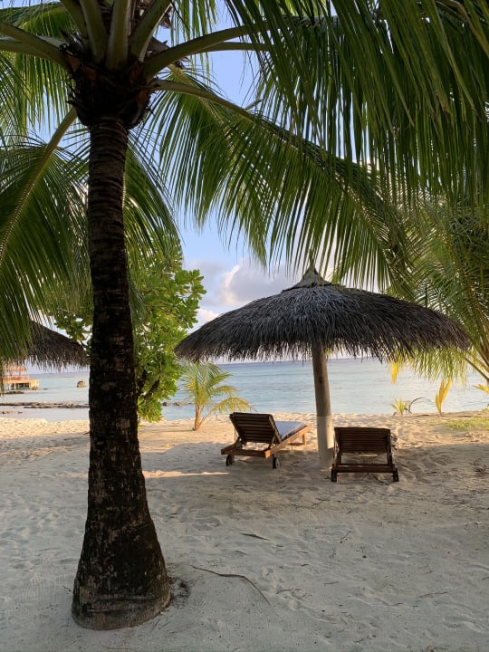 Ausblick Filitheyo Island Resort