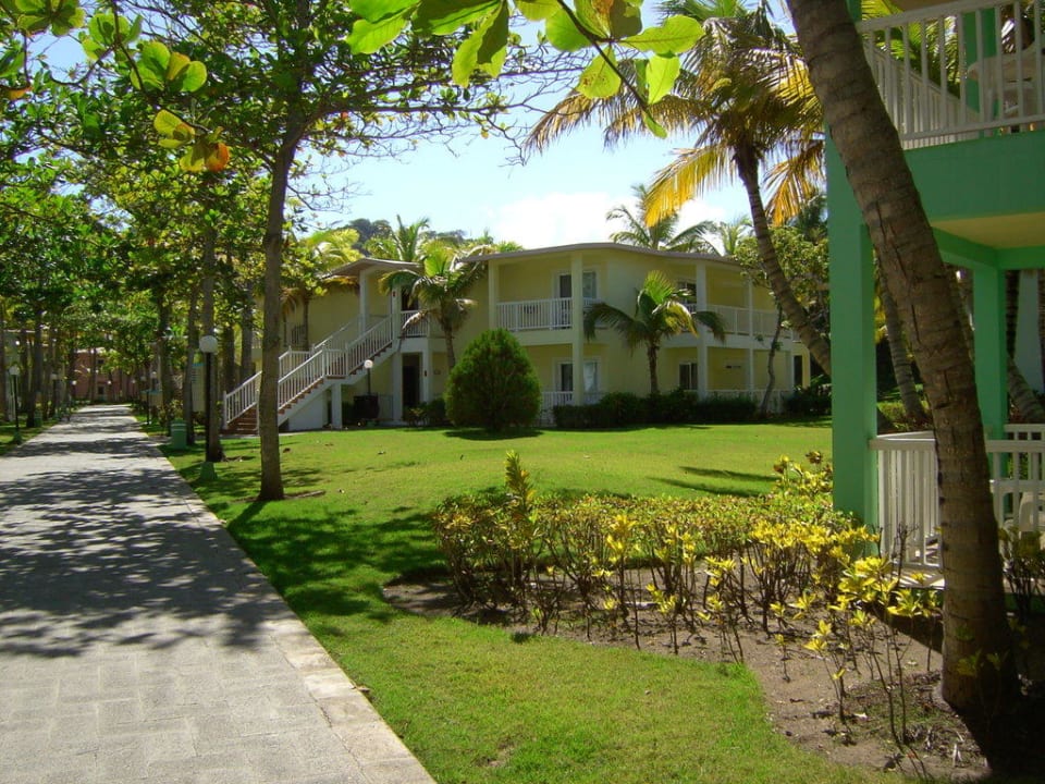 Zimmer von Hotel Mambo Playabachata Hotel